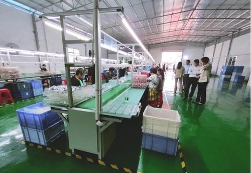 砥礪奮進(jìn)啟新程，鄉(xiāng)村振興謀新篇——浛洸鎮(zhèn)張陂村玩具加工廠隆重開業(yè)