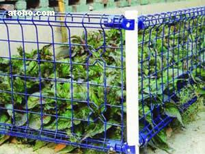 金屬絲網(wǎng)熱賣促銷 探索zt-03型號(hào)的價(jià)格、廠家與供應(yīng)商